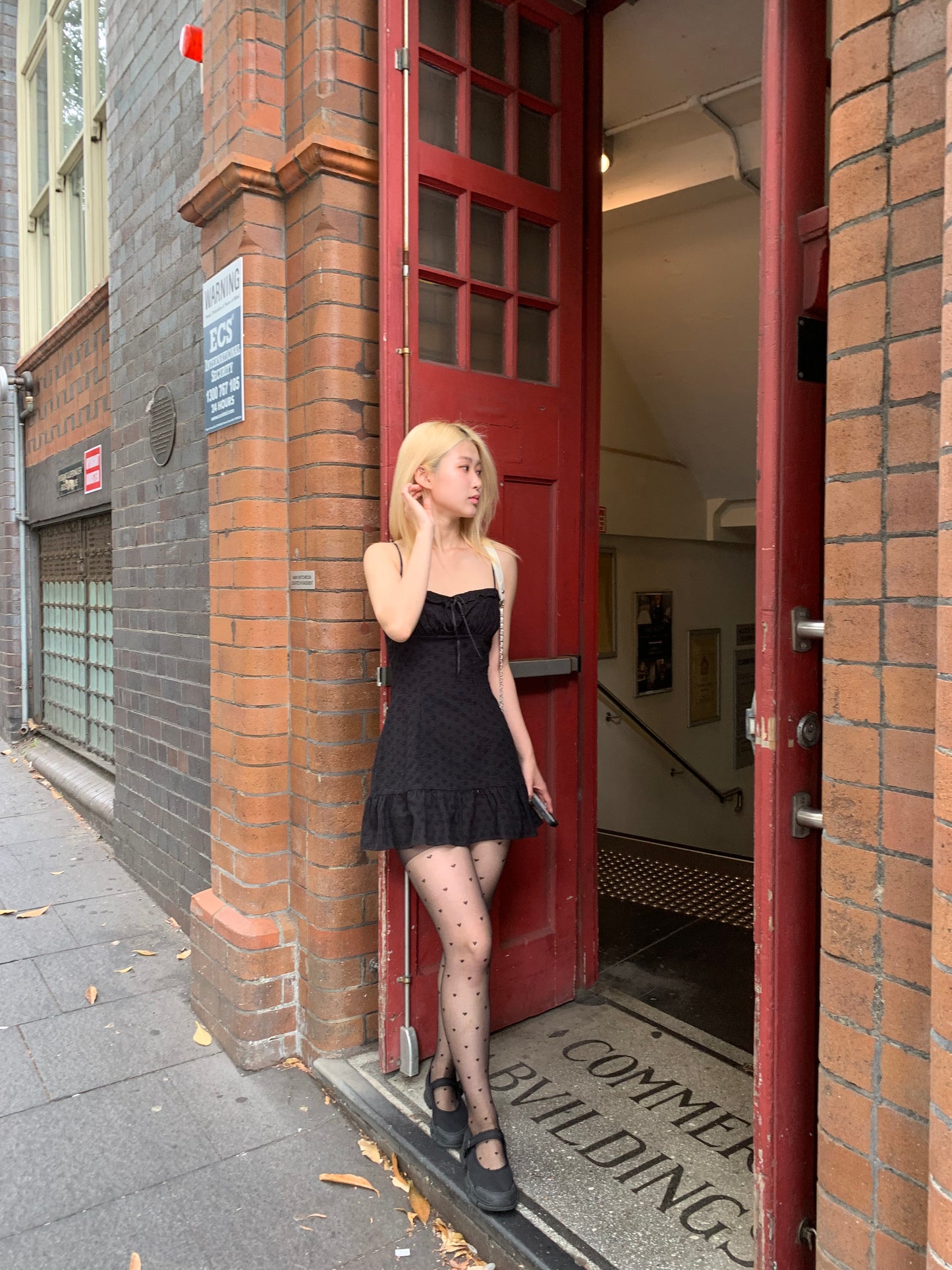 Embroidery frill dress