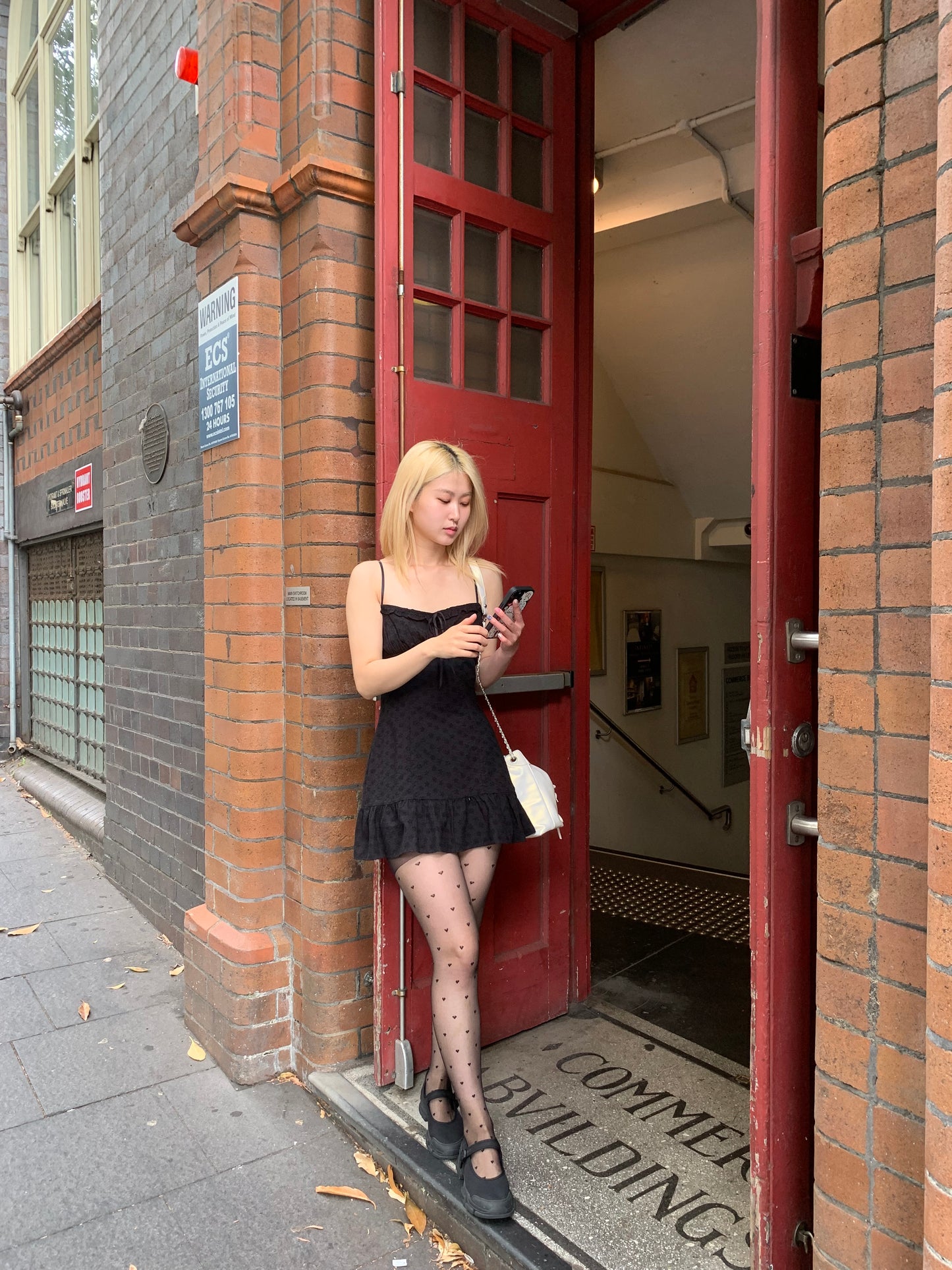 Embroidery frill dress