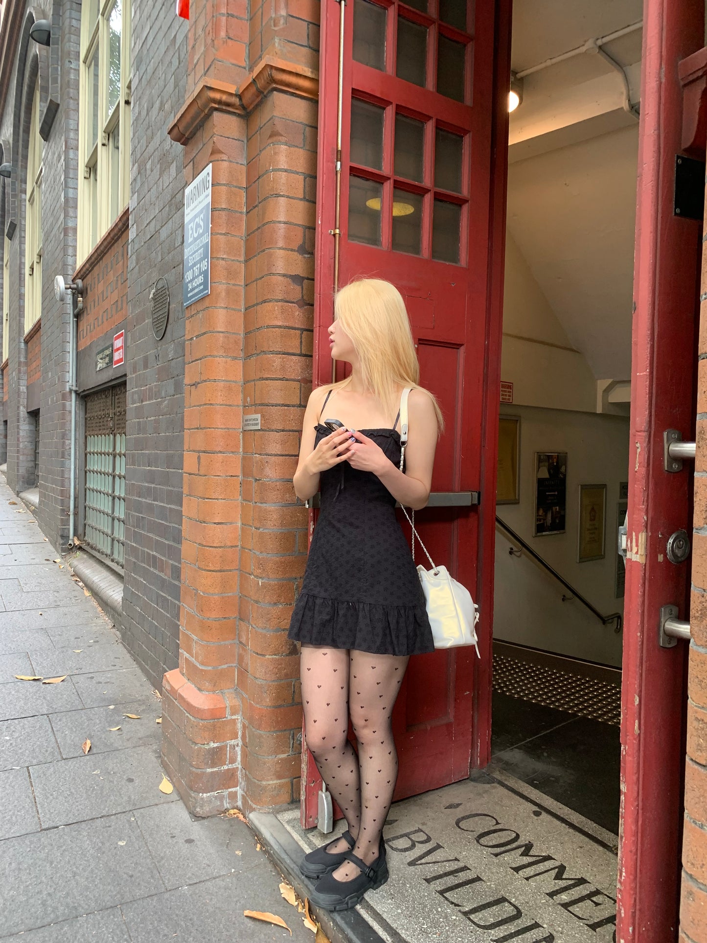 Embroidery frill dress
